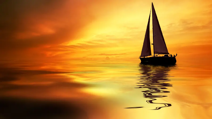 New and dreamy wallpaper in a lovely sunset for the background 
