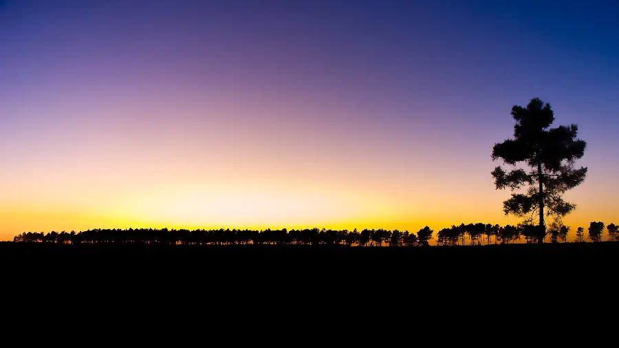 Background photo of sunset in the clear sky of nature for HD background