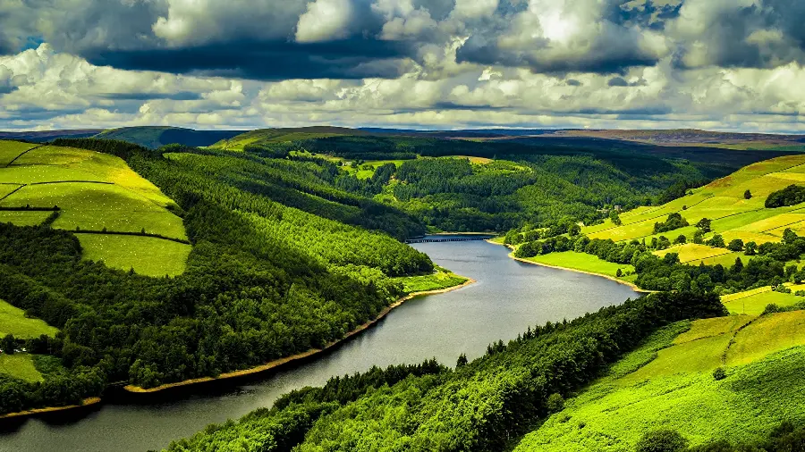 Download profile picture of lush nature and pleasant weather in Australia 