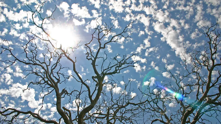 Photo Beautiful from the blue sky with beautiful clouds and gentle sunlight 