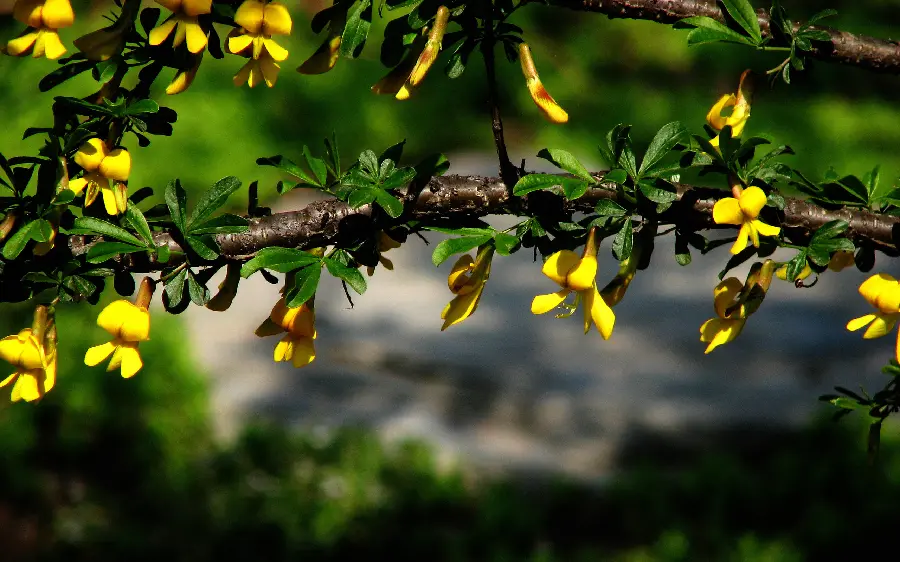 Photo of beautiful and wonderful nature in a blurred background