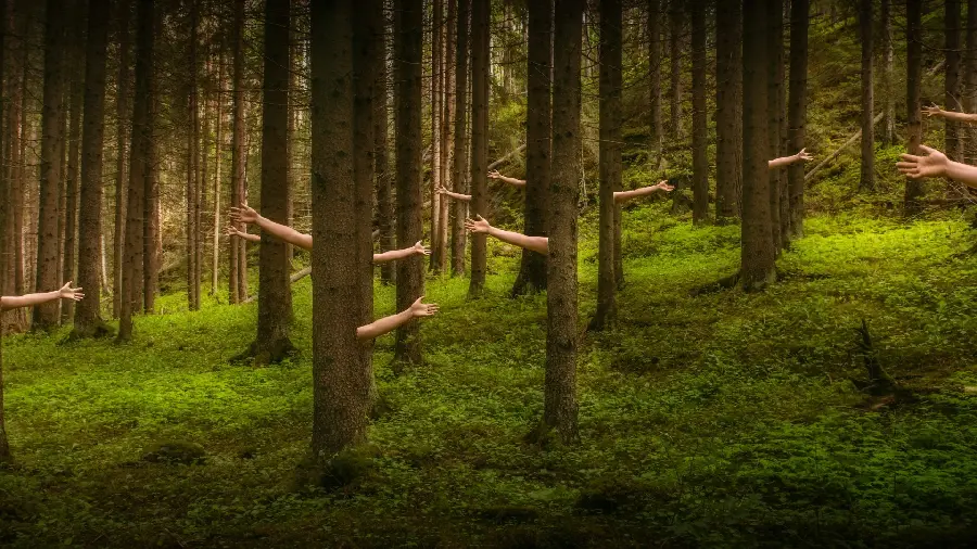 HD Background with Interesting Photoshop Design with Direct Link