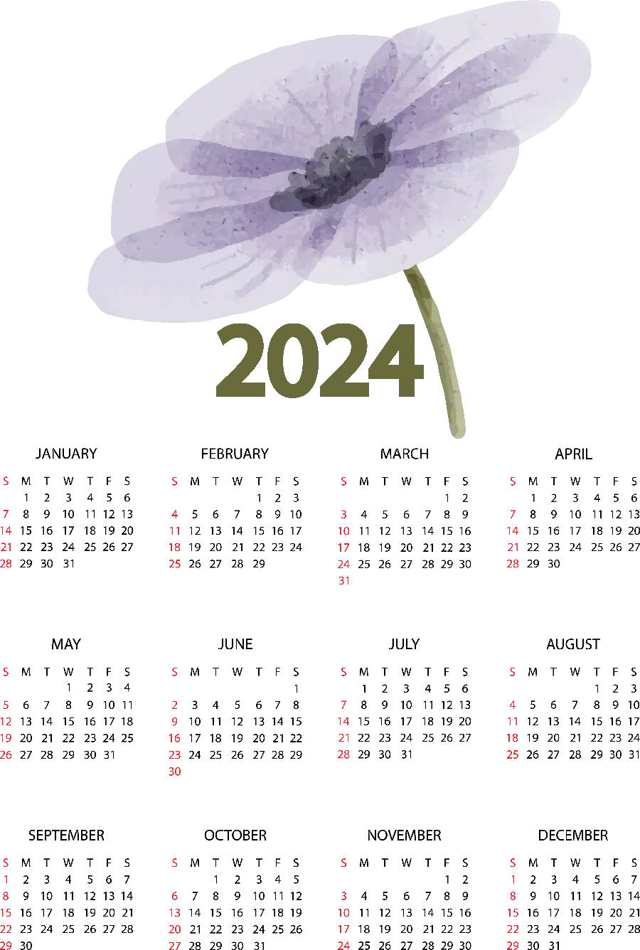 2024 Wallpaper orGregory for free