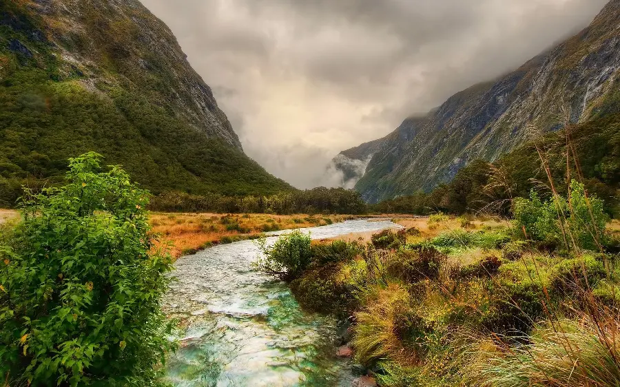 Completely free and high-resolution stock photo taken from pure nature