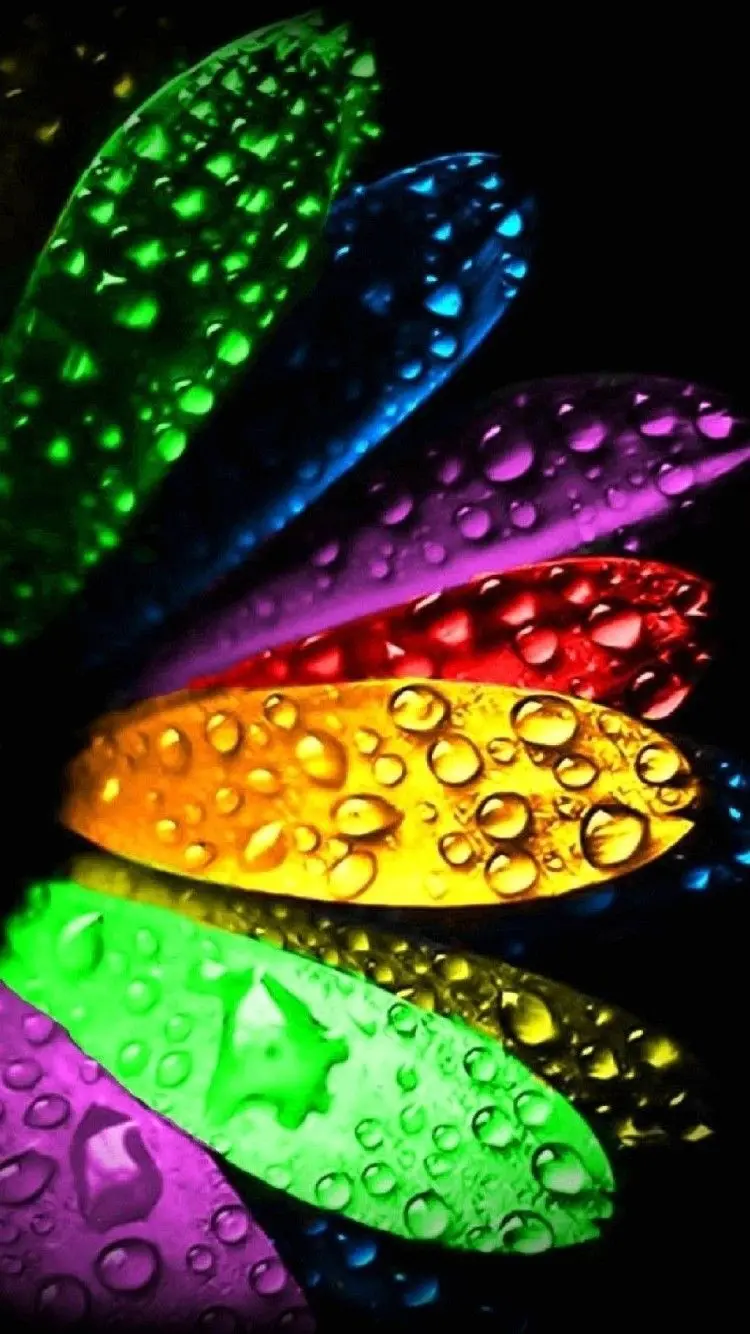 Motorola Moto E13 wallpaper with stunning colorful petal design