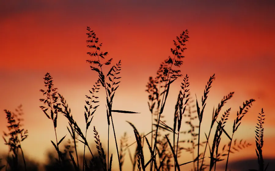 Download completely free photo for profile from natural scenery 