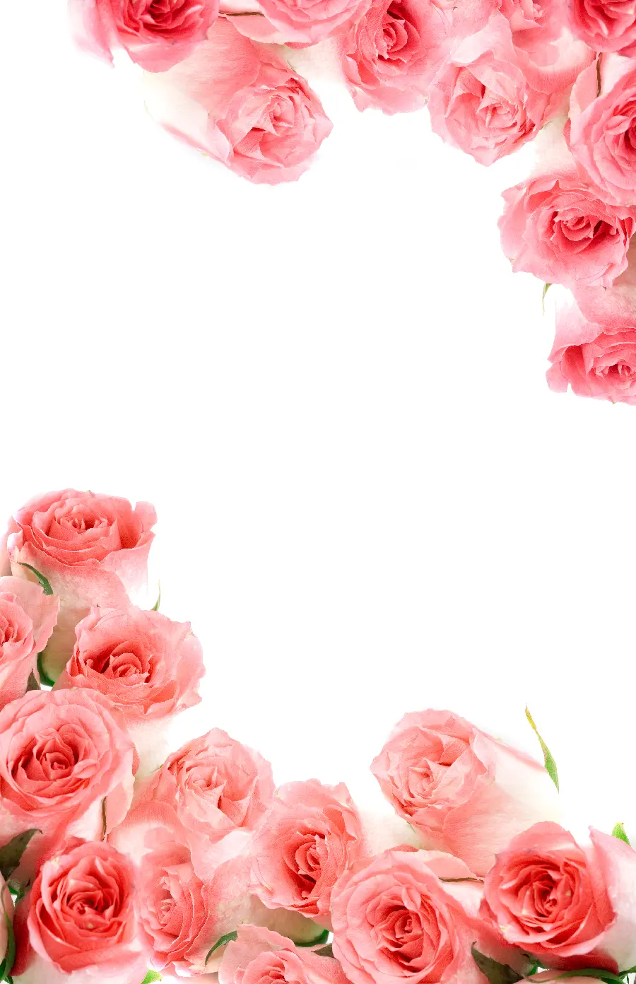 White stock with pink flowers border to create a photo written on Valentine's Day 