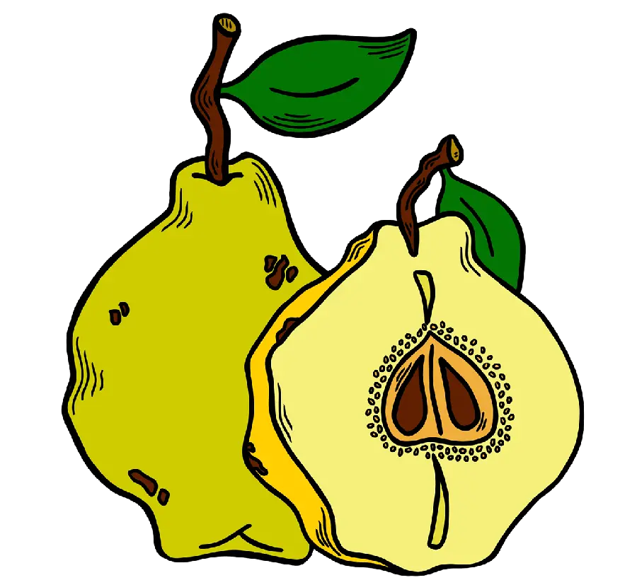 PNG PNG photo cut out and without background of fruit with graphic 