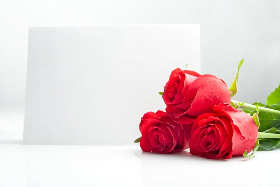 Beautiful and beautiful roses for Valentine's Day 