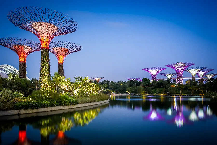 2023 Selected Photo of a Garden in Singapore for Computer Wallpaper 