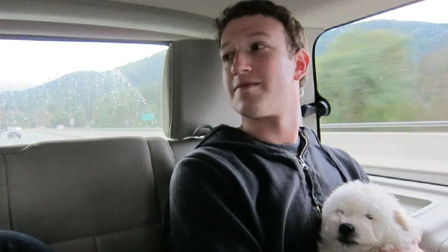 Mark Zuckerberg, CEO of Facebook