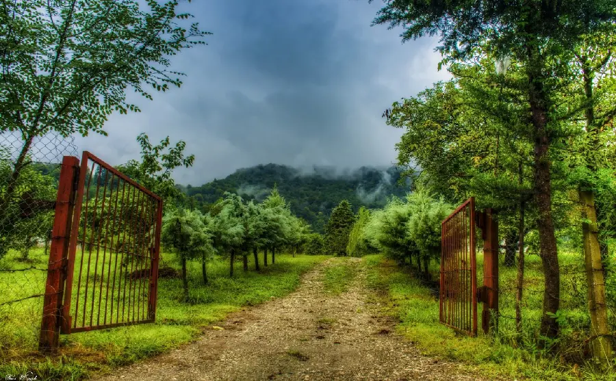 The latest photos of the very beautiful nature of Iran in 1403
