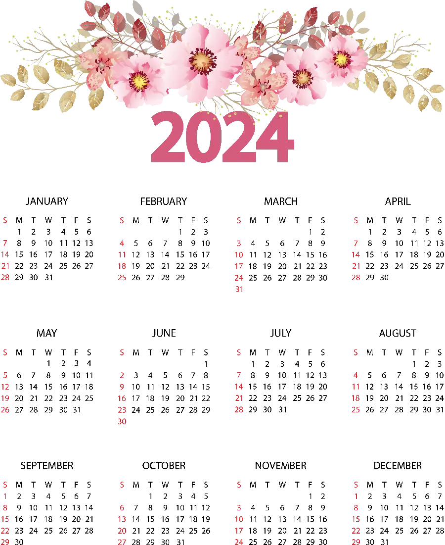Background photo of the 2024 calendar with an attractive design