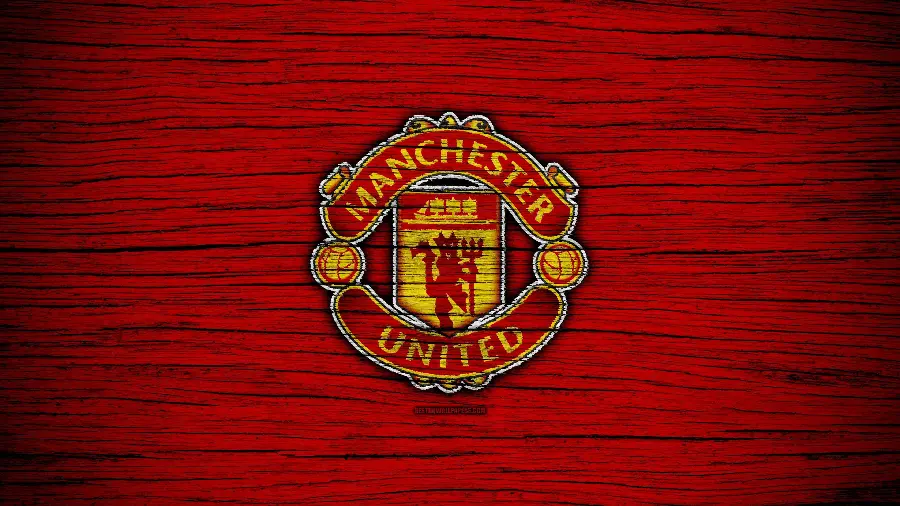 Download the image of the famous and talented Manchester United team logo