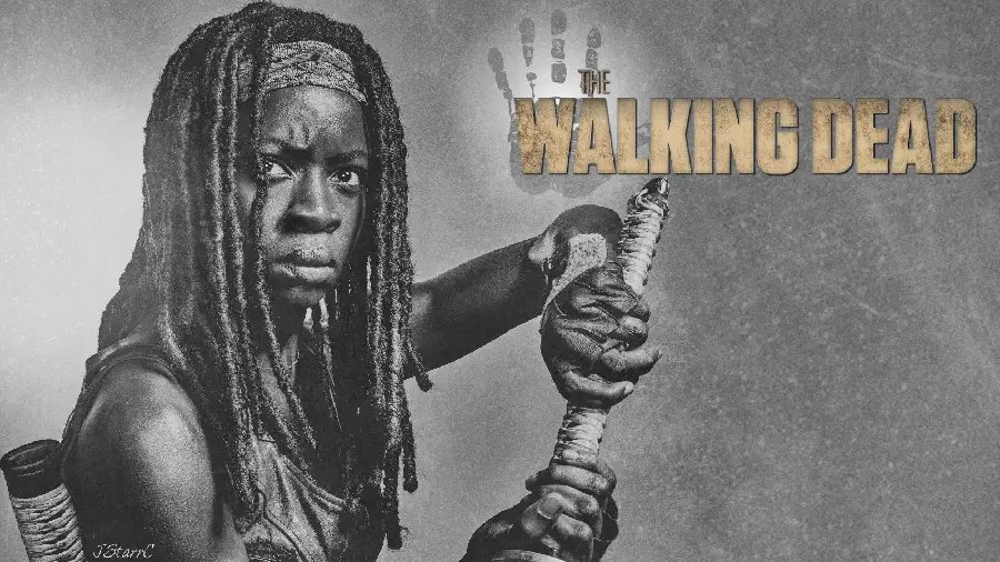 Picture of Michonne, a brave and strong swordswoman in the Walking Dead series