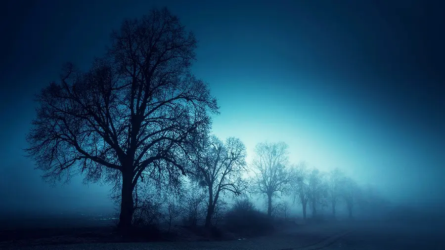 A spectacular background image of a dark landscape for those who love the dark theme