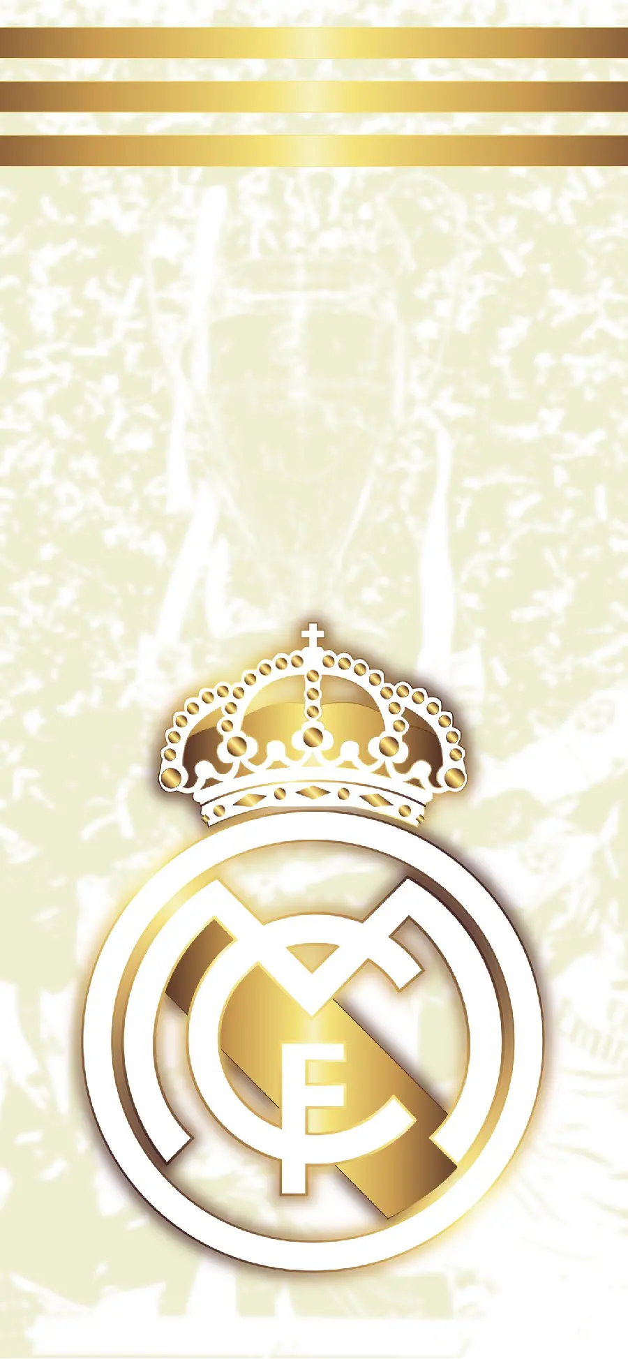 Image with a vertical angle and pleasant clarity of the Real Madrid logo and logo