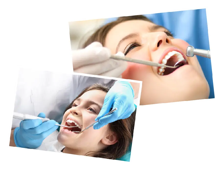 PNG photo for decorating dental walls 