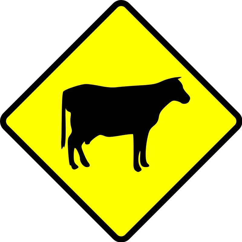 Cow Picture PNG Image PNG Image Suitable for the zoo 