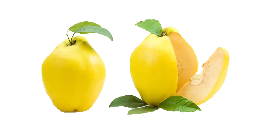 Fruit PNG image to be whole and cut without background 