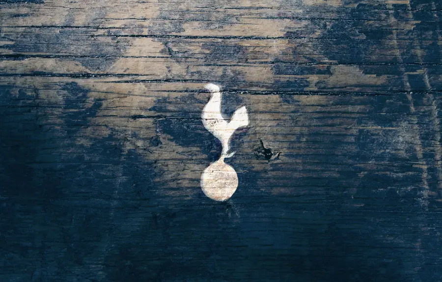 Free download of stock photos of the famous Tottenham club logo design