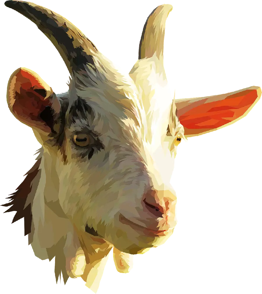Download New PNG Image Real Goat Gogoli 