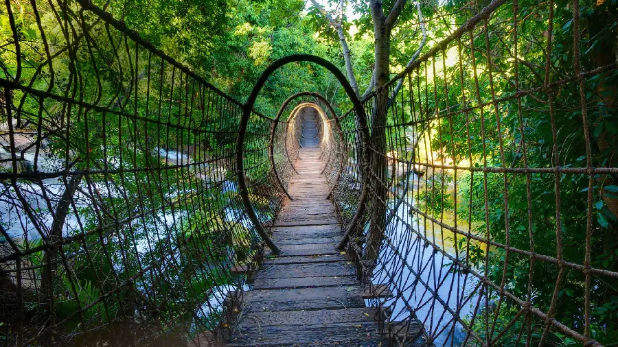 Photo of a dreamy bridge in the heart of magnificent nature for printing 2024