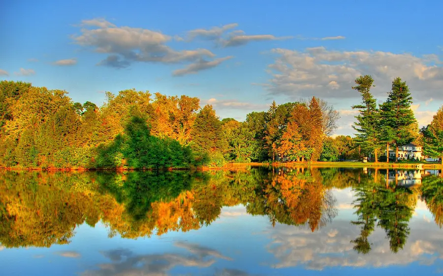 Very beautiful and dreamy photo of the autumn season in nature for background and profile 