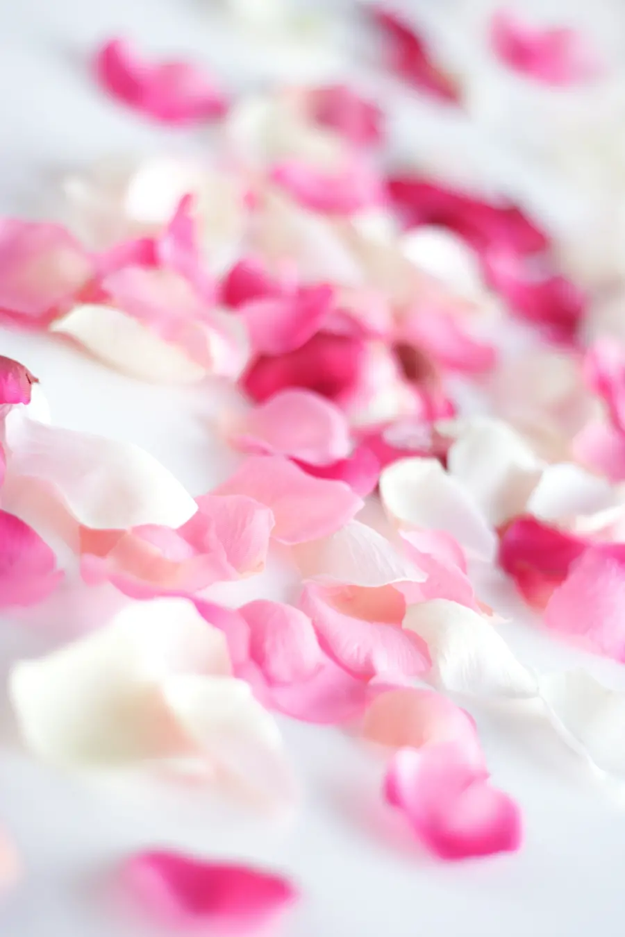 Wallpaper without text and logo with high quality for couples in love on Valentine's Day
