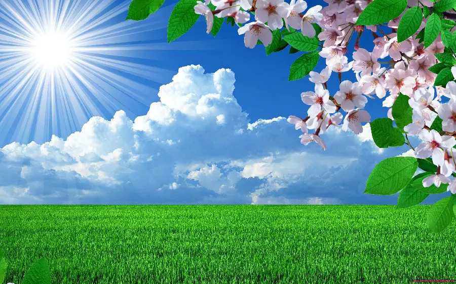 Amazing spring landscape stock for laptop background