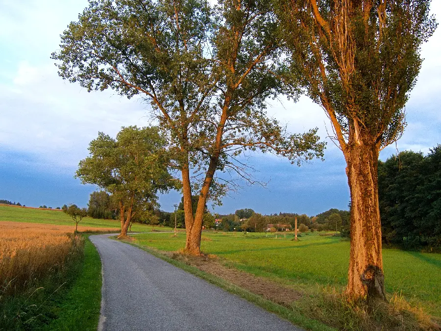 A dreamy stock photo of a road through beautiful and wonderful nature