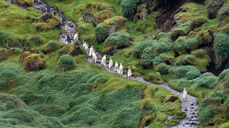 Download image fromSelected and special wallpaper of lush nature in 2023 with HD quality