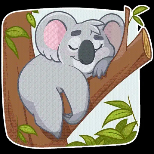 Happy and smiling koala PNG image on a eucalyptus tree branch 