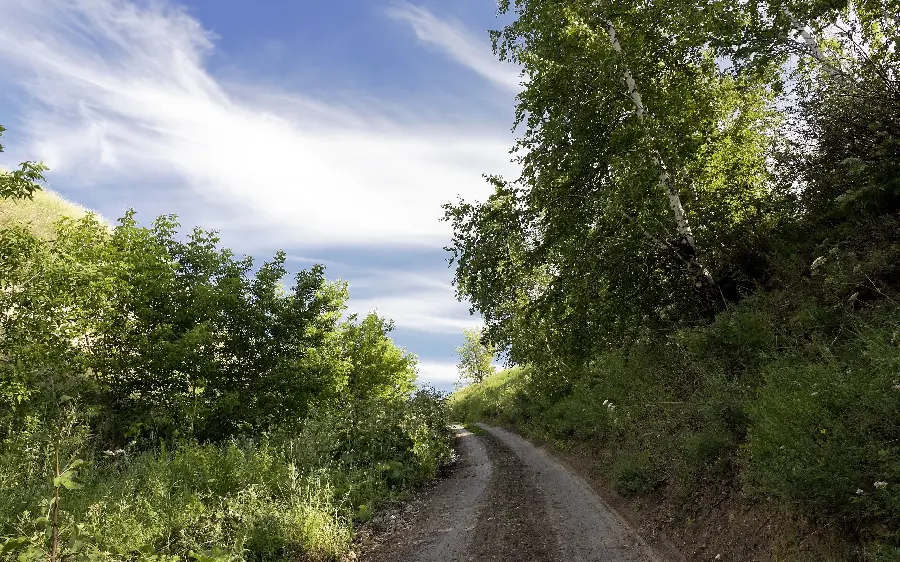 Photo of a dreamy green road with a blue sky for a photography location 