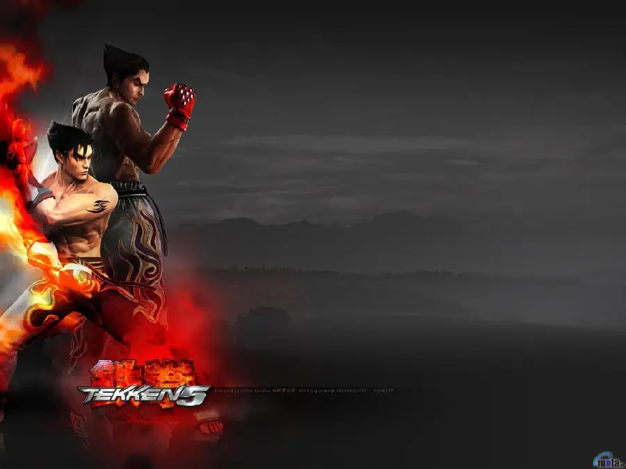 Download Jin Kazama photo in the corner of the gray background