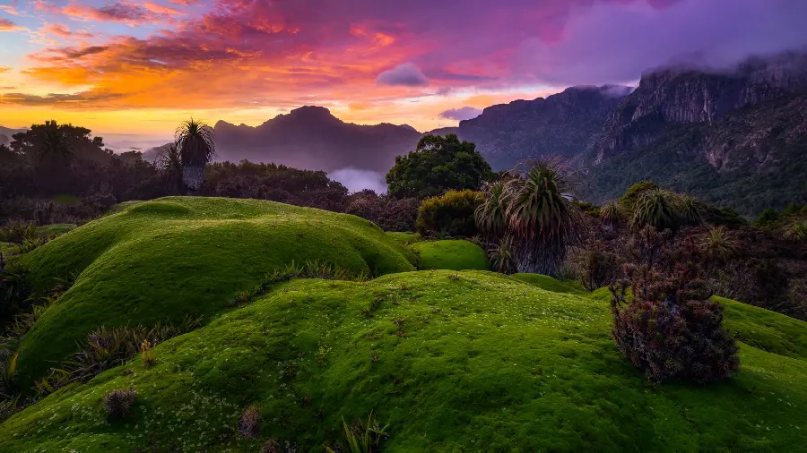 Beautiful and fresh nature wallpaper in the highest possible quality