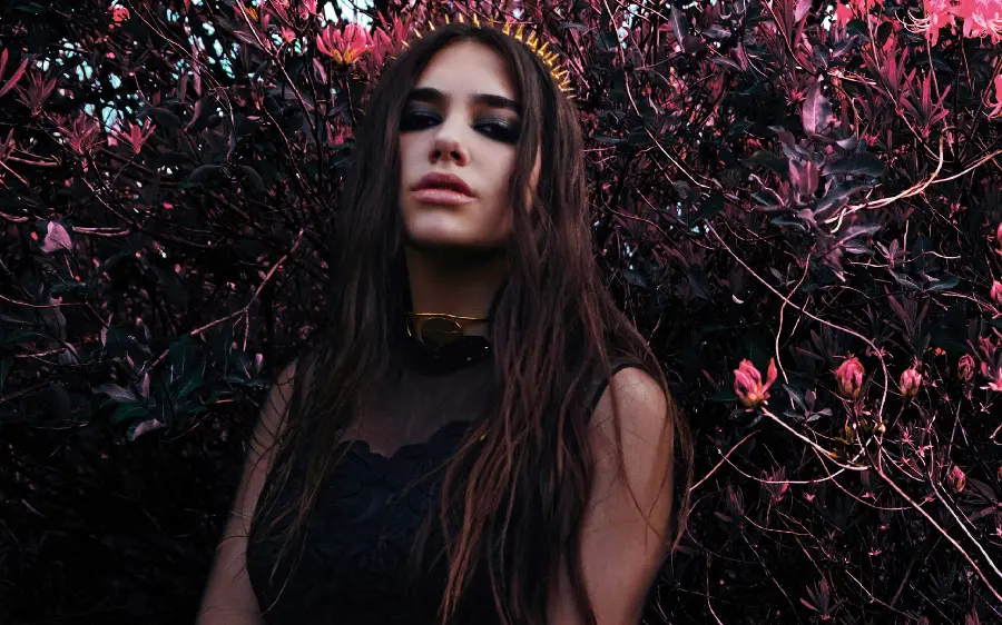 Beautiful background photo of the female pop singer Dua Lipa