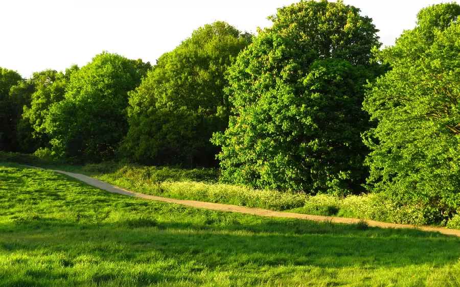Profile photo of beautiful nature Excellent quality scenery and etiquette 