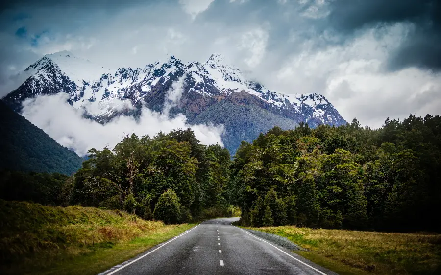 Secluded road leading to the forest and mountains in HD quality 