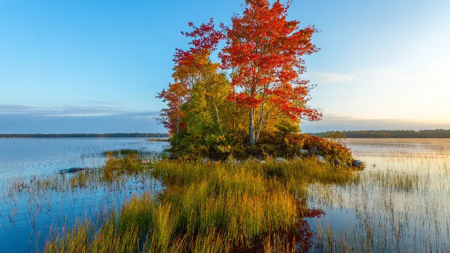 The most beautiful background image of a quiet and relaxing nature for all types of laptops and computers