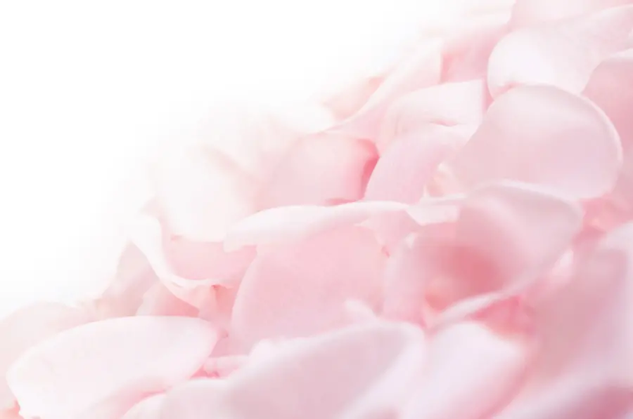 Free download of the best and highest quality wallpapers with a Valentine design