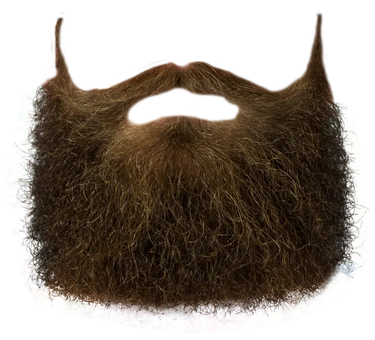Coarse brown beard and mustache png photo