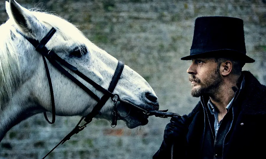 DownloadTom Hardy's photo with movie makeup next to a white horse for the background 
