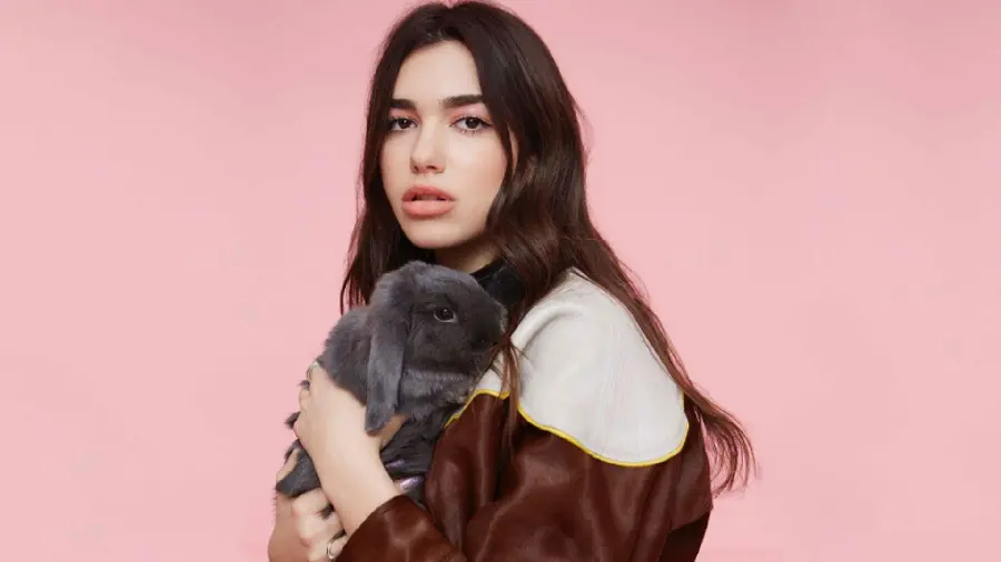 Photo of singer Dua Lipa with a furry gray rabbit