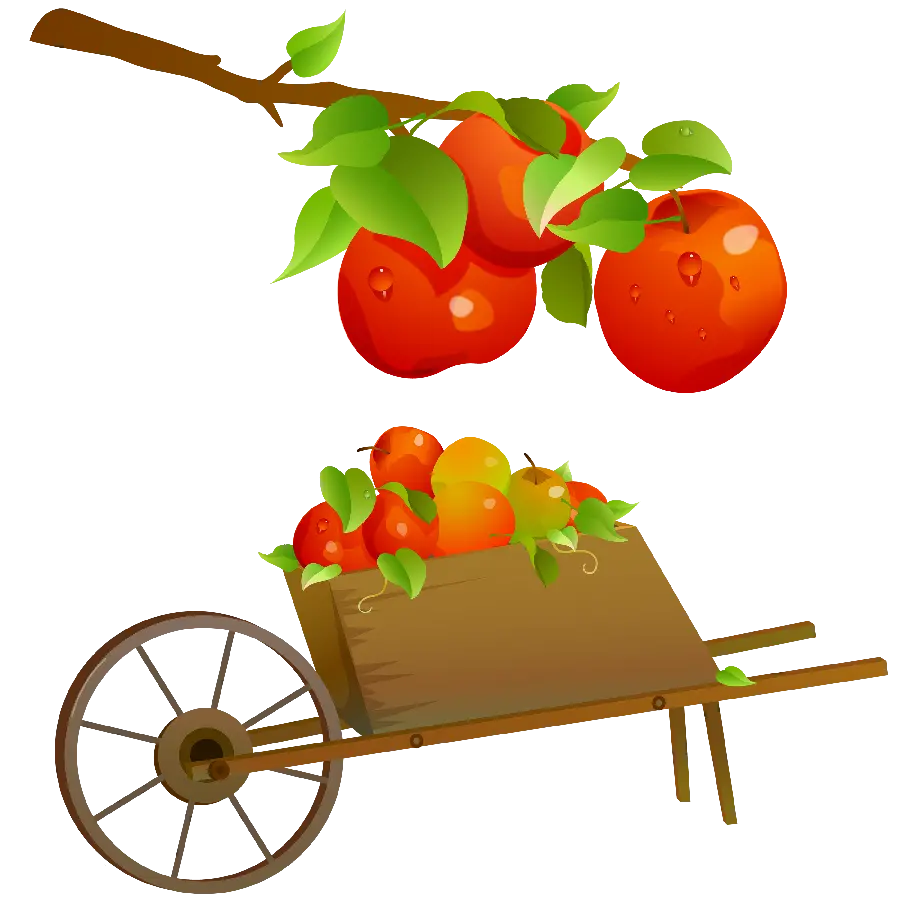 Free download of beautiful and different PNG images of apples