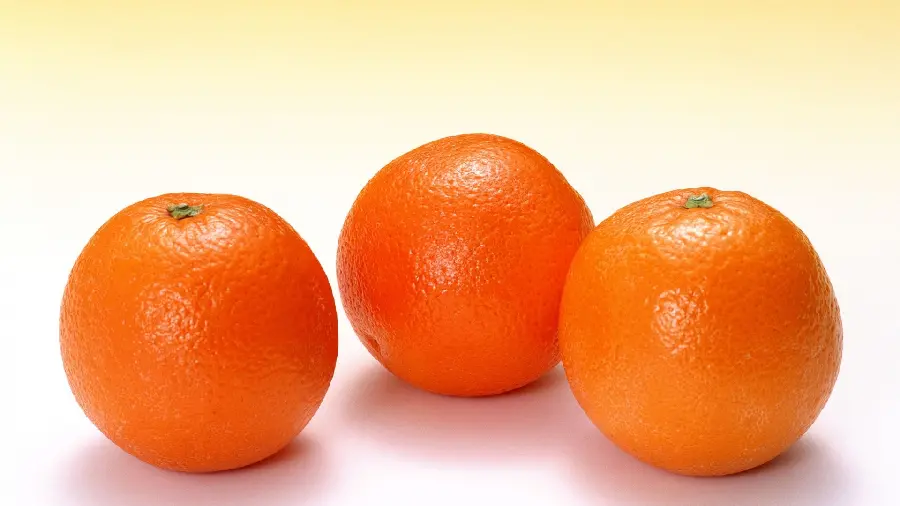 Stock photo of beautiful orange fruits with high quality and jpg format 