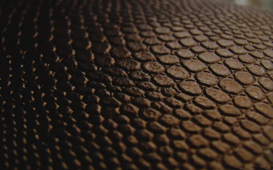 Photo of an interesting and unique texture similar to snake skin for computer design 
