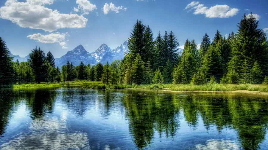 The most beautiful image of a beautiful nature of a mountain lake with water in the forest
