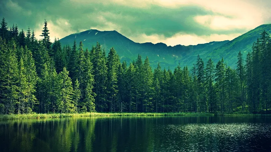 Background image in excellent HD resolution of an eye-catching view of nature