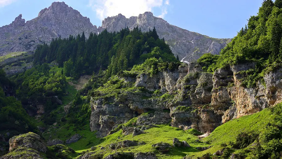 Special and lush mountain nature photo for Soroush and Ita's profile 